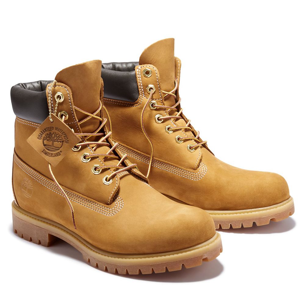 Bota Neve Masculino - Timberland 6-Inch Premium Impermeavel - OWLQA5246 - Marrom